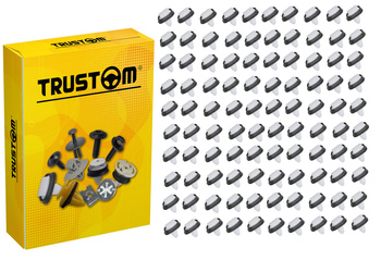 100 SZTUK DUCATO BOXER JUMPER SPINEK LISTWY BOCZNE